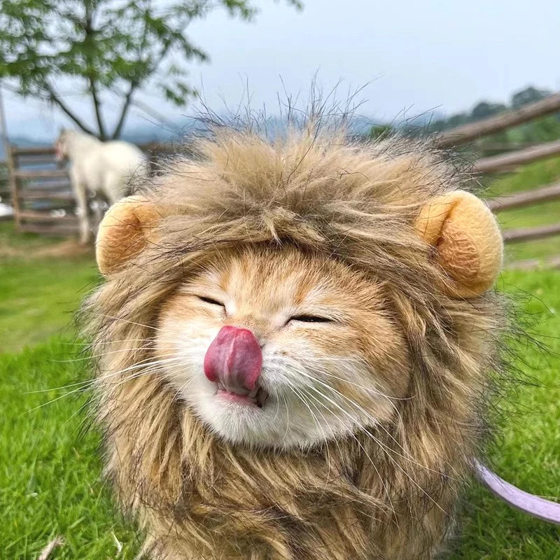 Disfraz de León para Gato o Perro – Sombrero de Peluche Cosplay