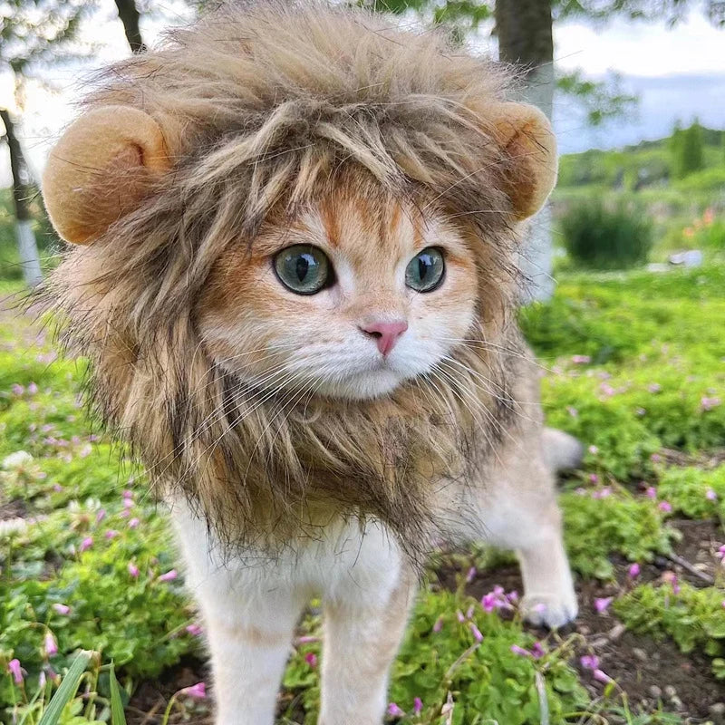 Disfraz de León para Gato o Perro – Sombrero de Peluche Cosplay