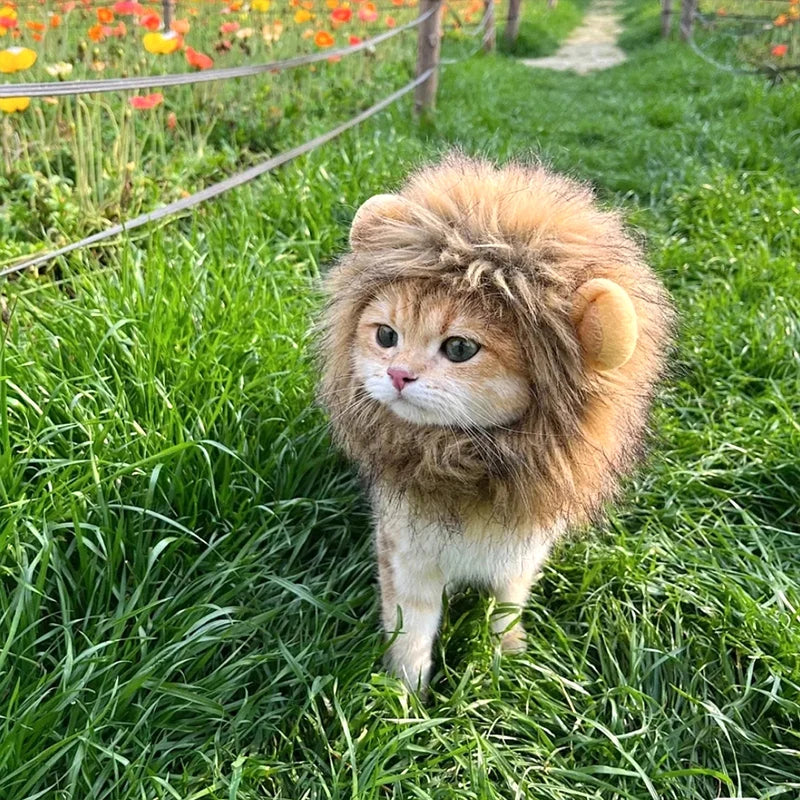Disfraz de León para Gato o Perro – Sombrero de Peluche Cosplay