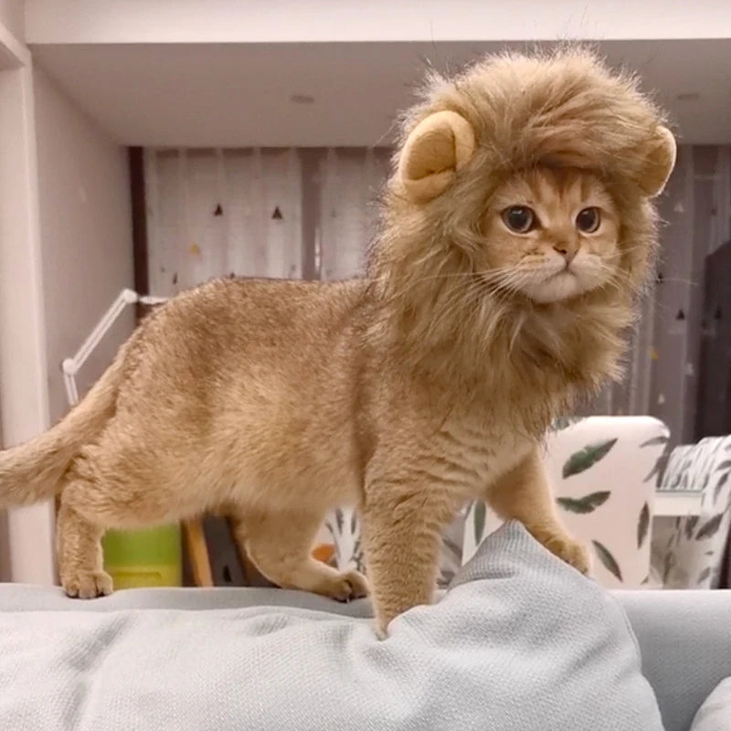 Disfraz de León para Gato o Perro – Sombrero de Peluche Cosplay