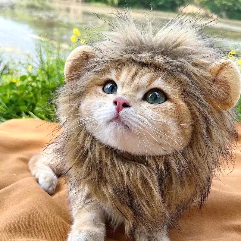 Disfraz de León para Gato o Perro – Sombrero de Peluche Cosplay