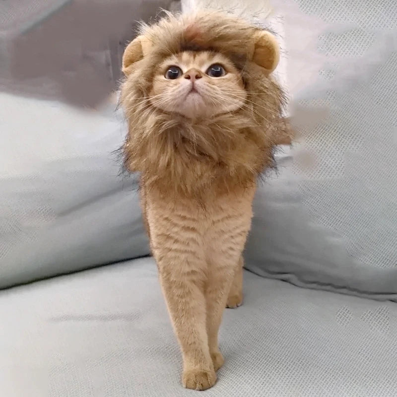 Disfraz de León para Gato o Perro – Sombrero de Peluche Cosplay