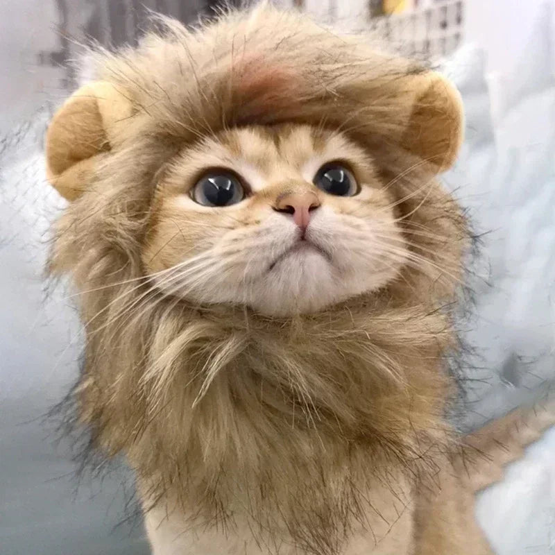 Disfraz de León para Gato o Perro – Sombrero de Peluche Cosplay