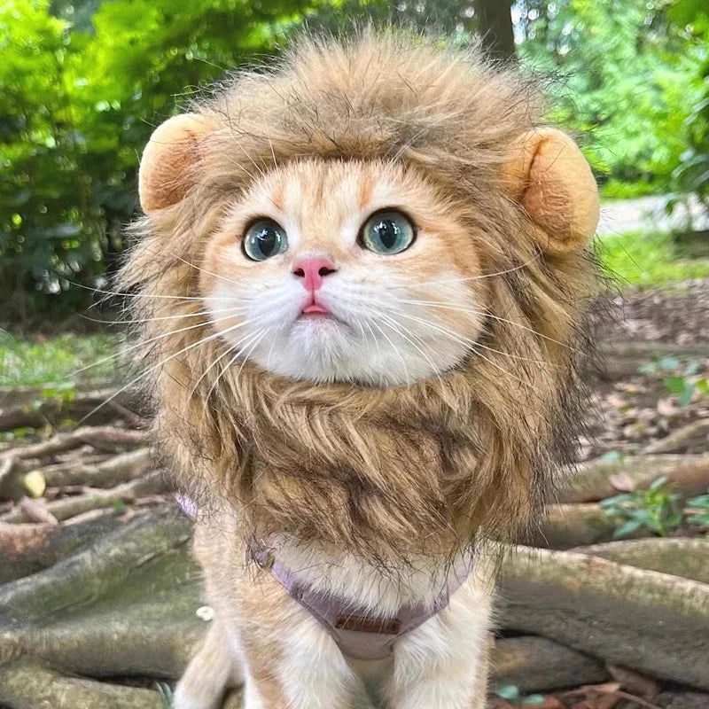 Disfraz de León para Gato o Perro – Sombrero de Peluche Cosplay