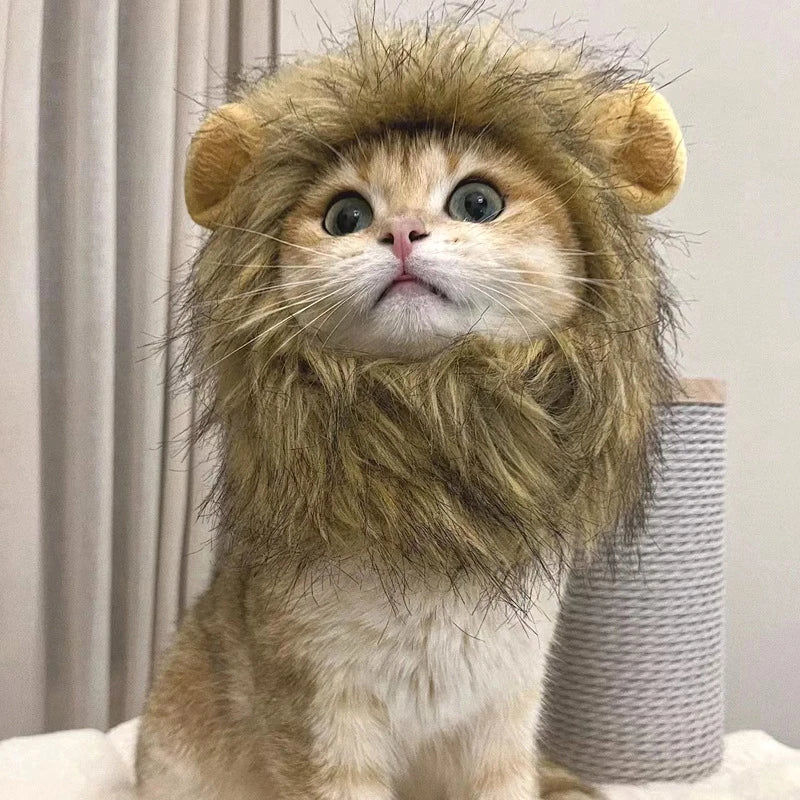 Disfraz de León para Gato o Perro – Sombrero de Peluche Cosplay