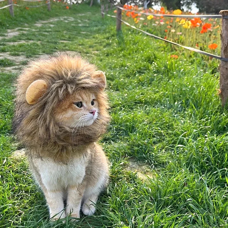 Disfraz de León para Gato o Perro – Sombrero de Peluche Cosplay