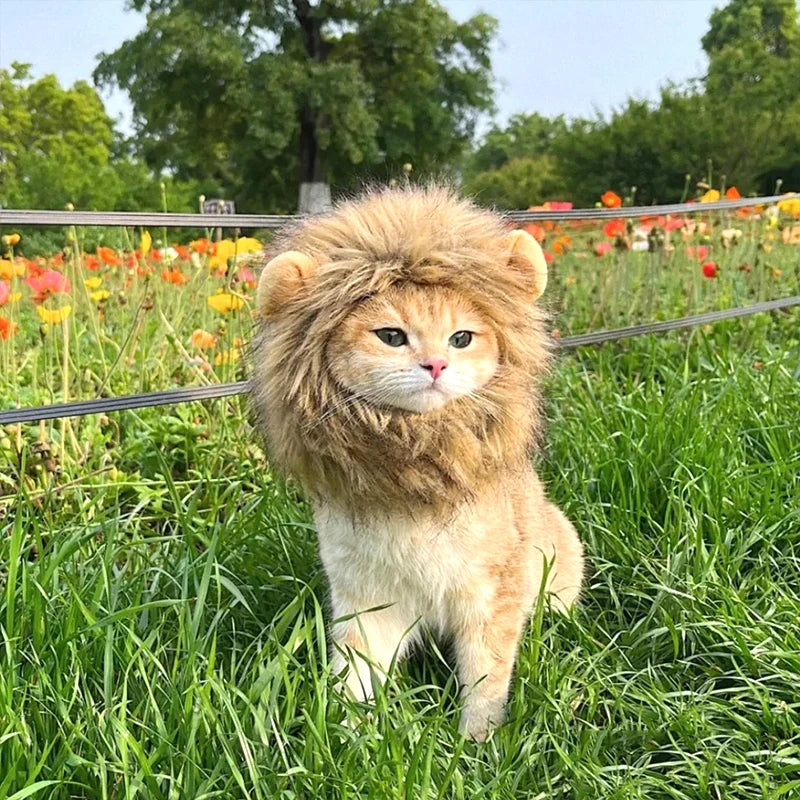 Disfraz de León para Gato o Perro – Sombrero de Peluche Cosplay