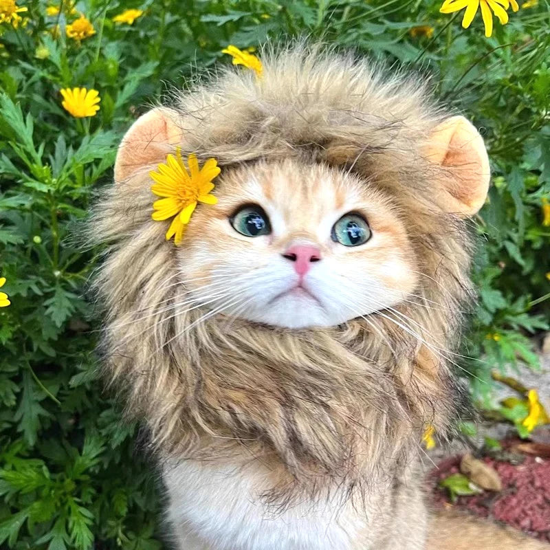 Disfraz de León para Gato o Perro – Sombrero de Peluche Cosplay