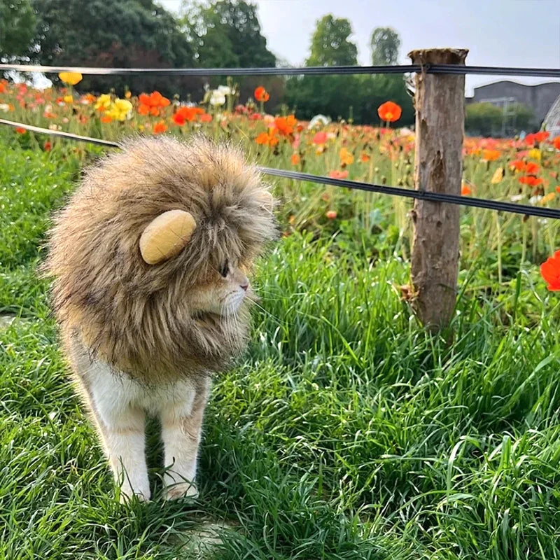 Disfraz de León para Gato o Perro – Sombrero de Peluche Cosplay