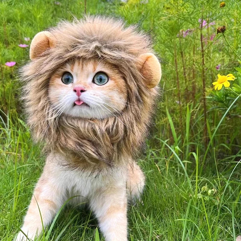 Disfraz de León para Gato o Perro – Sombrero de Peluche Cosplay