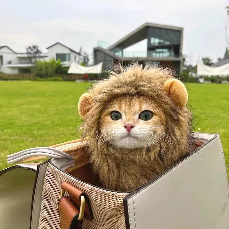 Disfraz de León para Gato o Perro – Sombrero de Peluche Cosplay