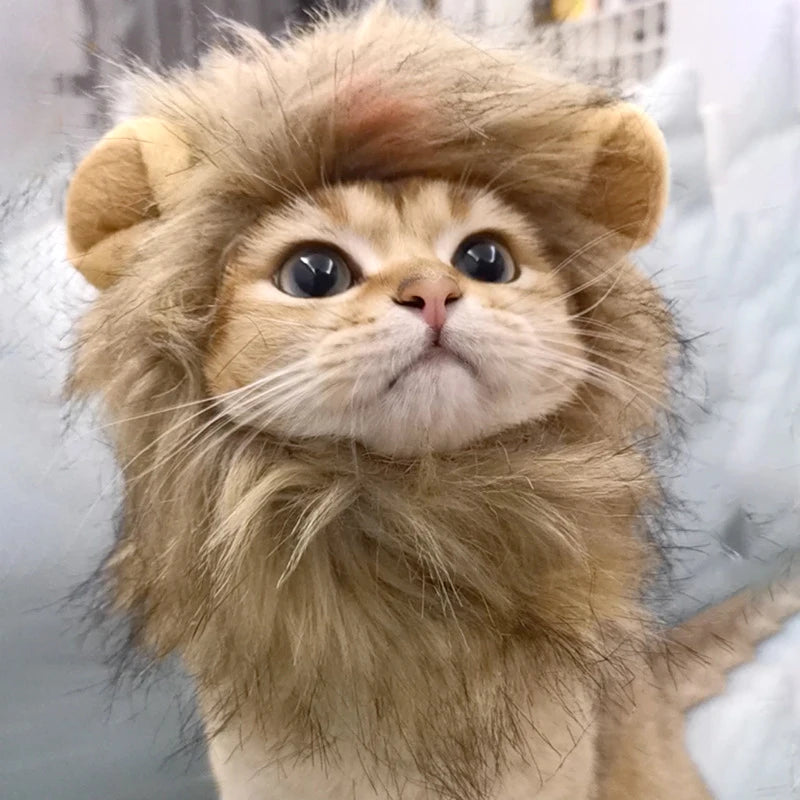 Disfraz de León para Gato o Perro – Sombrero de Peluche Cosplay